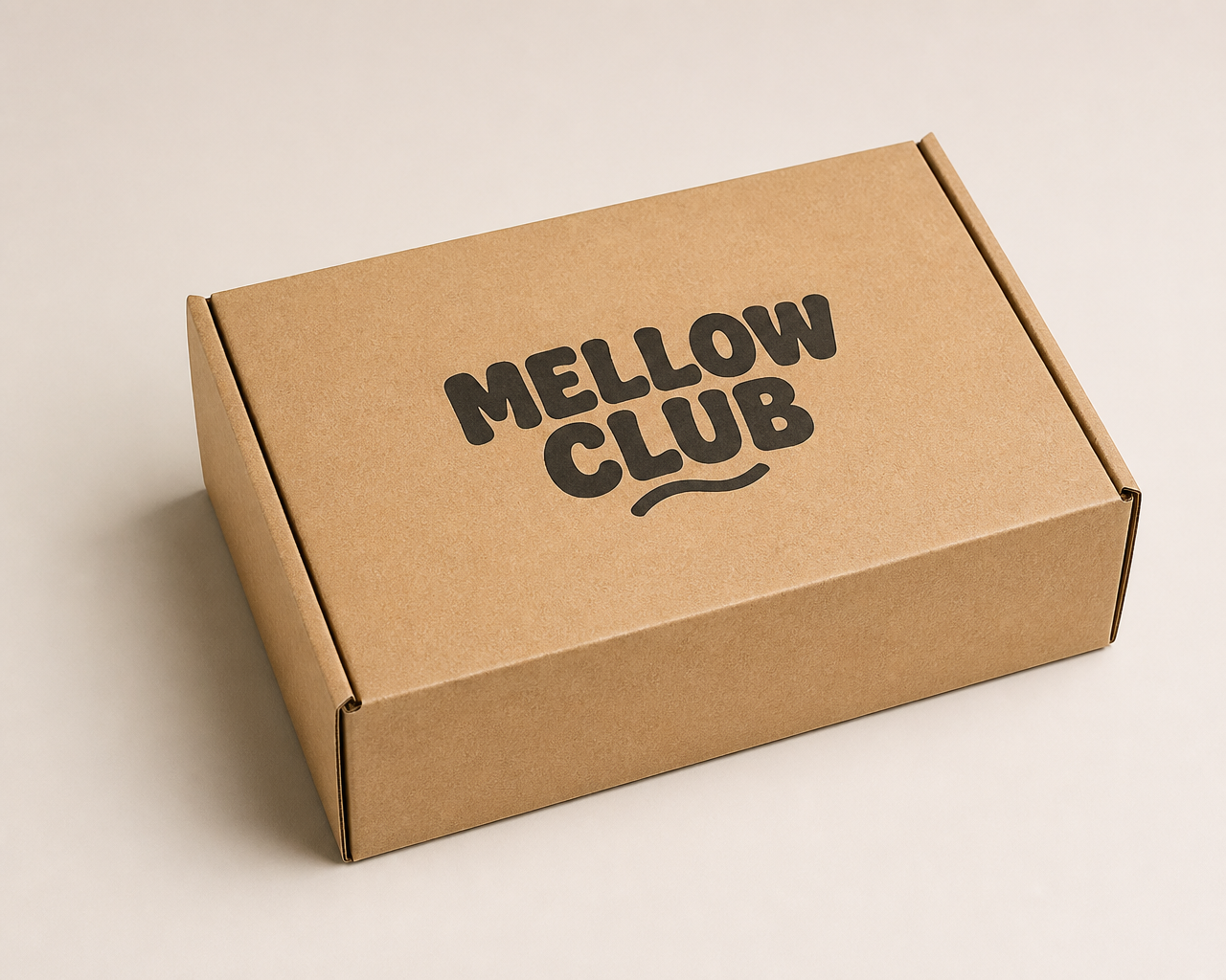 Kraft corrugated mailer box printed with a bold retro brand logo